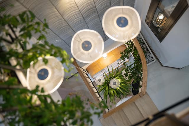 Picture of the author