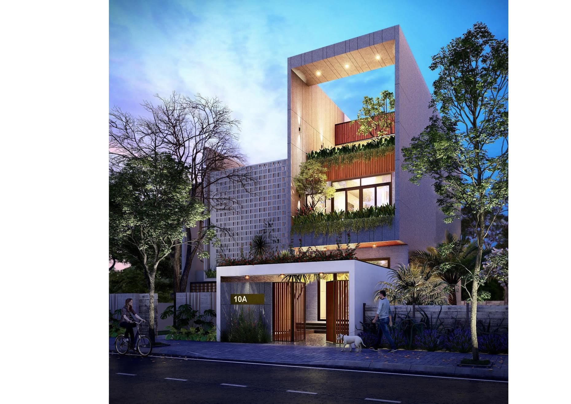 Picture of the author