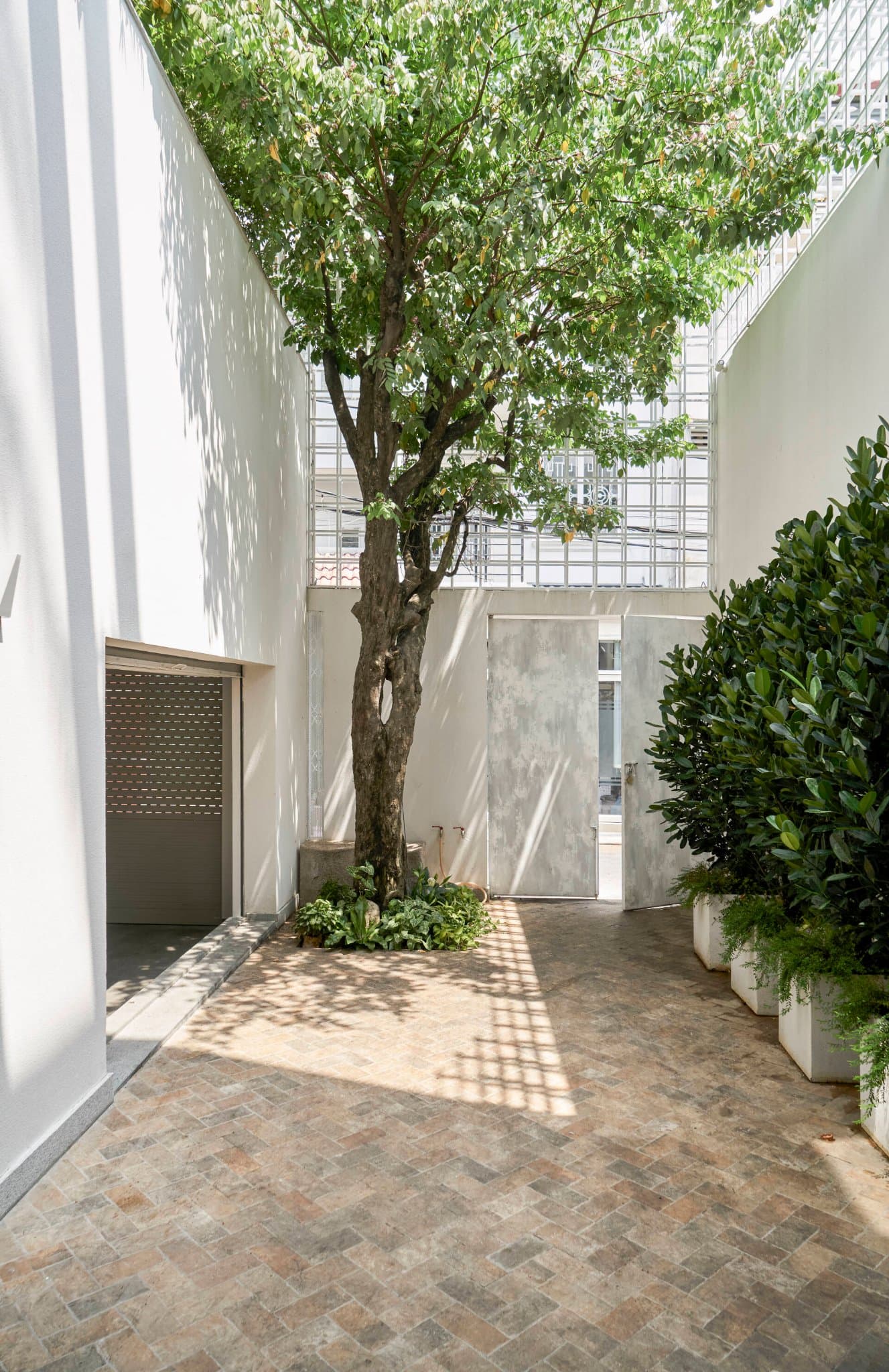 Picture of the author