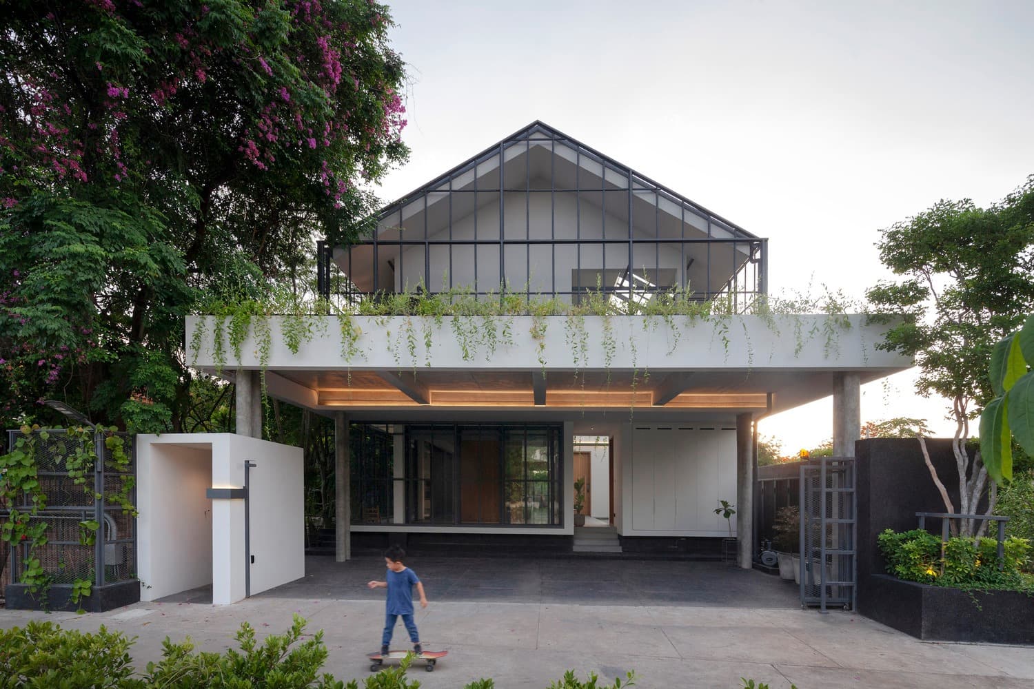 Picture of the author