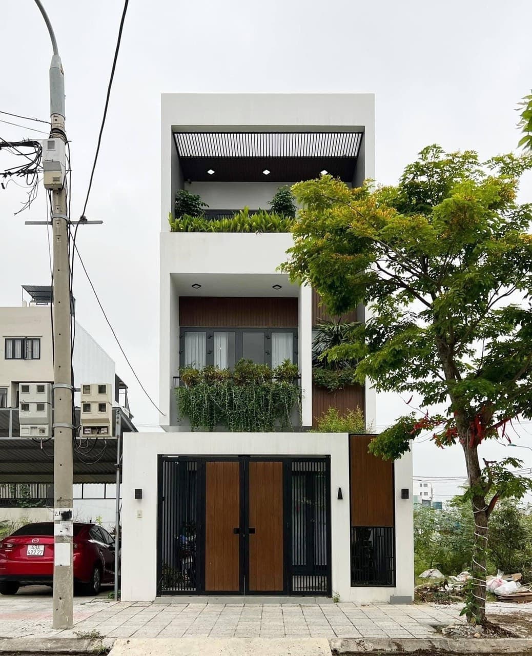 Picture of the author