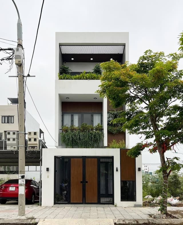 Picture of the author