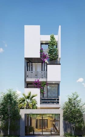 Picture of the author