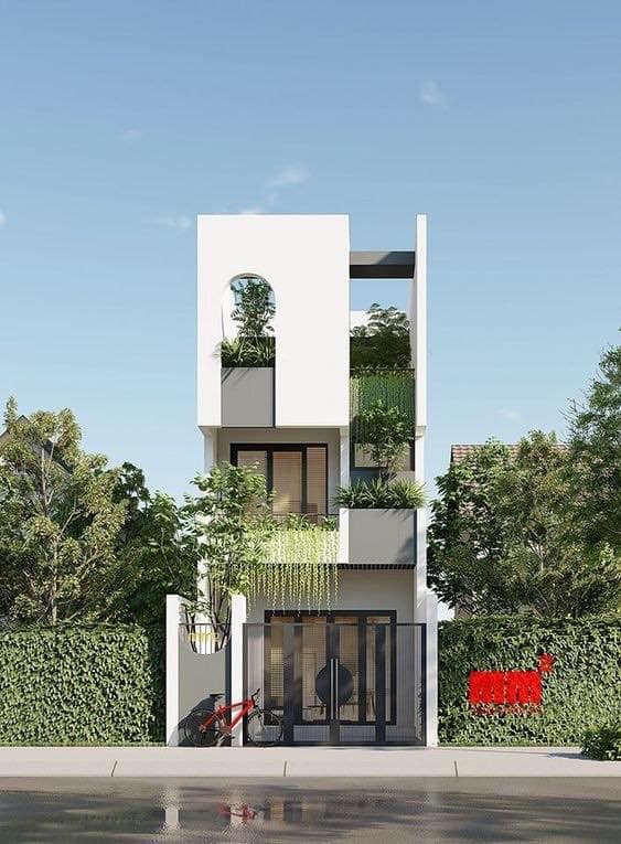 Picture of the author