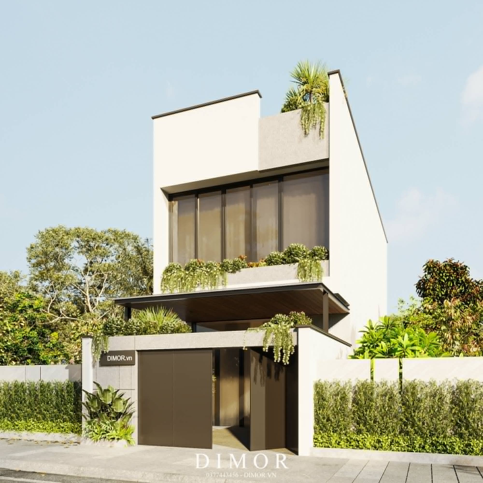 Picture of the author