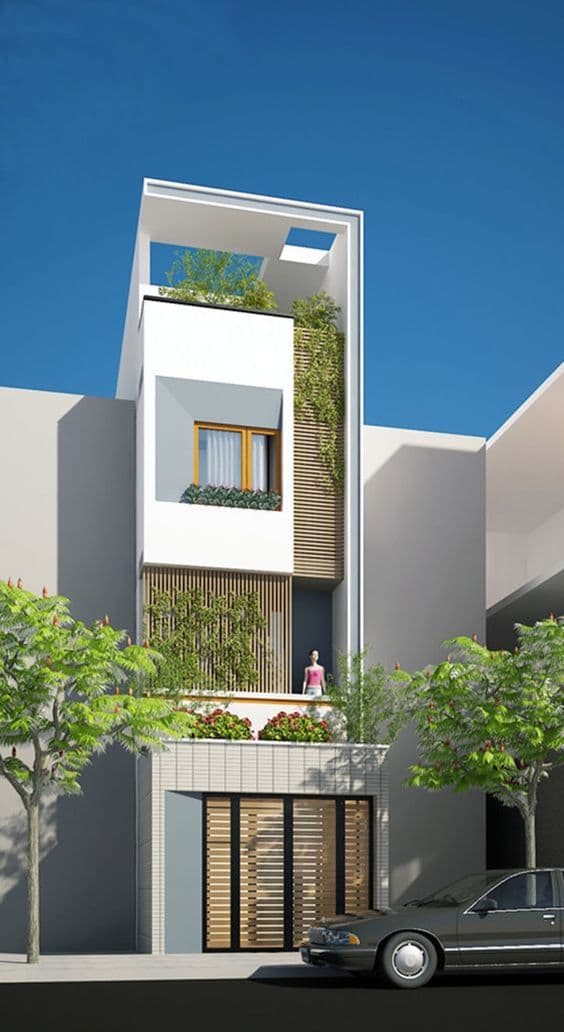 Picture of the author